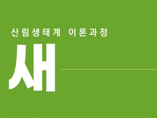 [비대면] 산림 생태계 이론_새