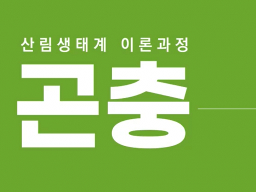 [비대면] 산림 생태계 이론_곤충